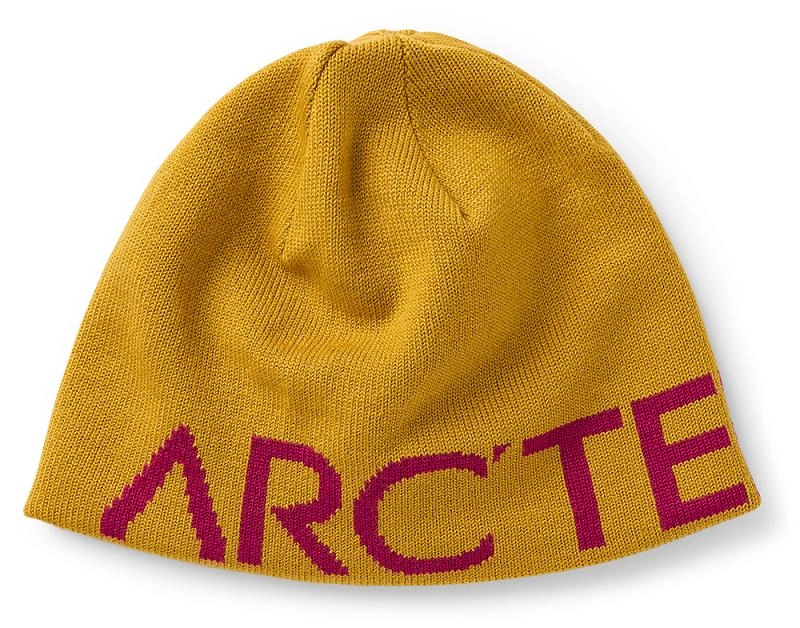 Bonnet Arc'teryx Unisex Word Head Toque Retreat/Synth
