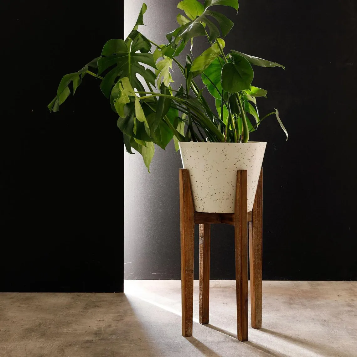 Pot Décoratif moyen en Bois et résine Plant Up Beige | 3 Suisses